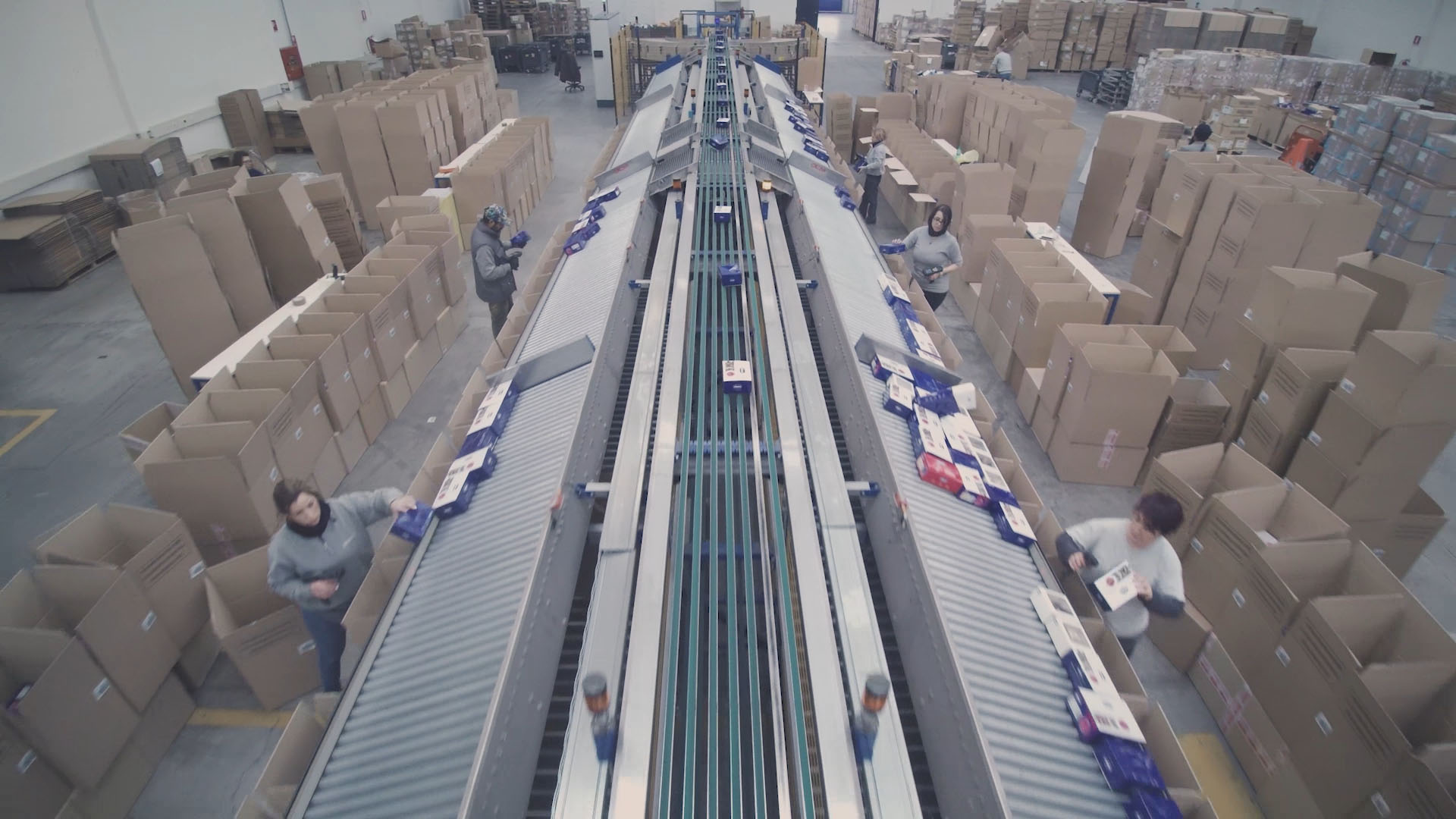 Fortna Distribution Logistics